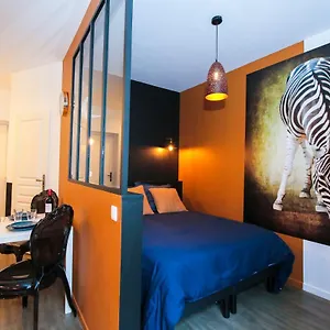  Appartement Le Zèbre, T1 Hypercentre Chic Et Cosy, Wifi Par Sovalfi